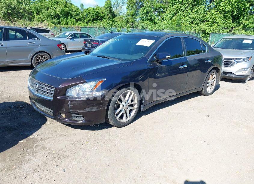 Photo 2 of 2010 Nissan Maxima 3.5 SV (VIN 1N4AA5AP6AC818249)