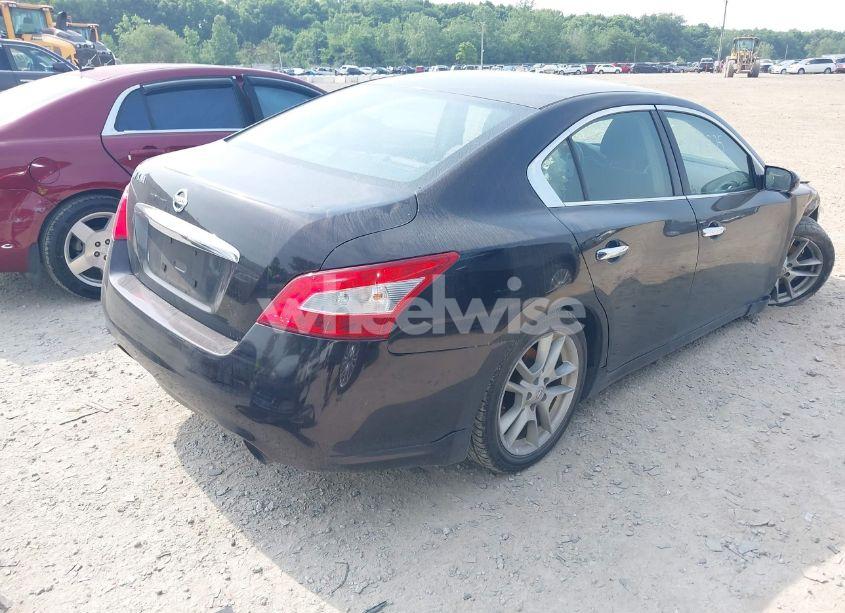Photo 4 of 2010 Nissan Maxima 3.5 S (VIN 1N4AA5AP6AC821426)