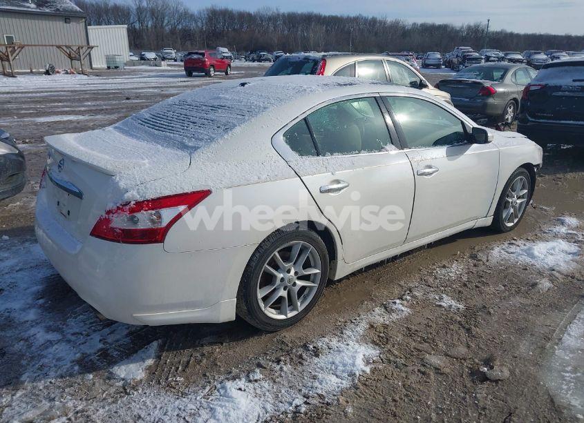 Photo 4 of 2010 Nissan Maxima 3.5 SV (VIN 1N4AA5AP6AC829543)