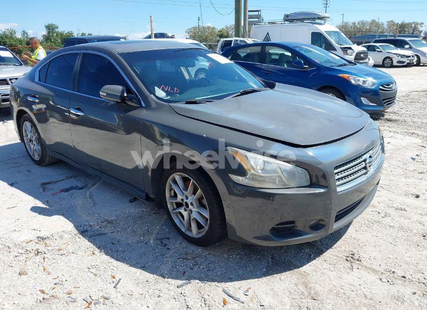 2010 Nissan Maxima 3.5 SV (VIN 1N4AA5AP6AC831809) main photo
