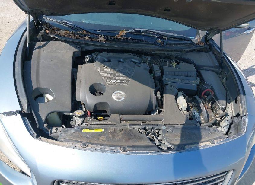 Photo 10 of 2010 Nissan Maxima 3.5 SV (VIN 1N4AA5AP6AC832667)