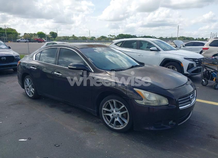 2010 Nissan Maxima 3.5 SV (VIN 1N4AA5AP6AC833298) main photo