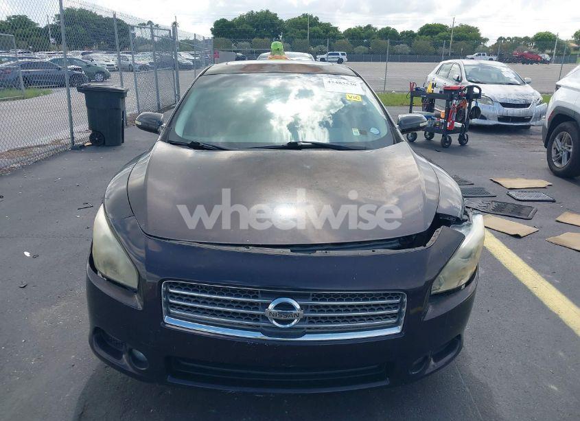 Photo 12 of 2010 Nissan Maxima 3.5 SV (VIN 1N4AA5AP6AC833298)