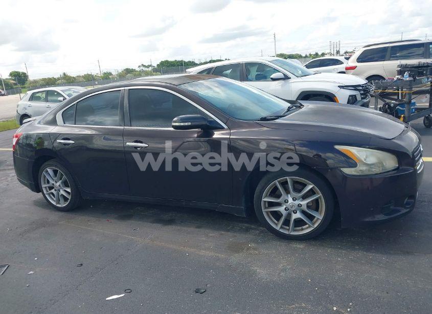 Photo 13 of 2010 Nissan Maxima 3.5 SV (VIN 1N4AA5AP6AC833298)