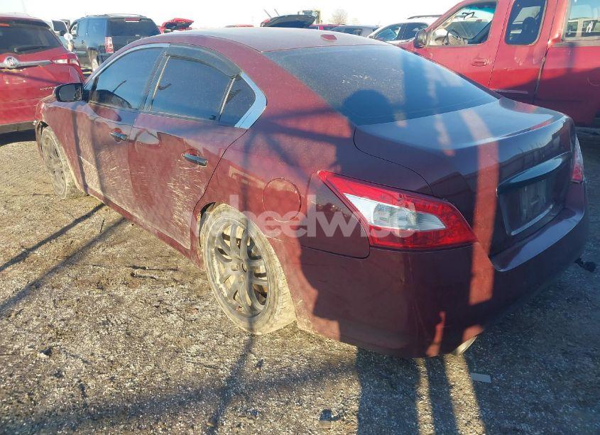 Photo 3 of 2010 Nissan Maxima 3.5 SV (VIN 1N4AA5AP6AC845662)