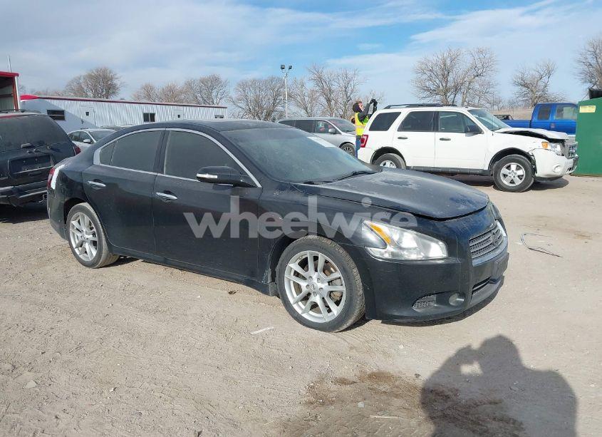 2010 Nissan Maxima 3.5 SV (VIN 1N4AA5AP6AC845953) main photo