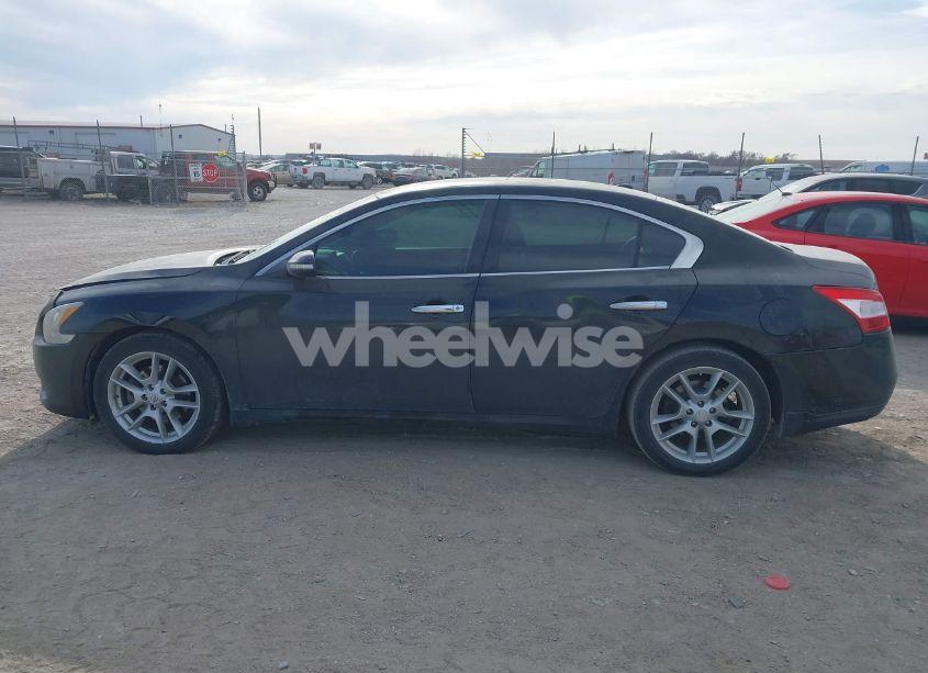 Photo 14 of 2010 Nissan Maxima 3.5 SV (VIN 1N4AA5AP6AC845953)