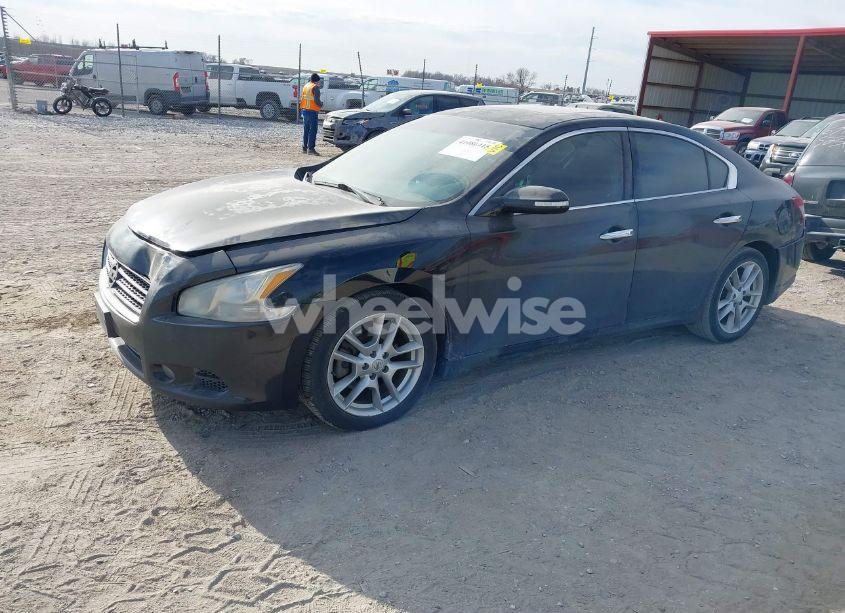 Photo 2 of 2010 Nissan Maxima 3.5 SV (VIN 1N4AA5AP6AC845953)