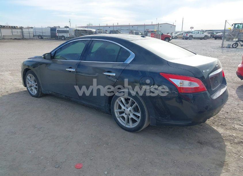 Photo 3 of 2010 Nissan Maxima 3.5 SV (VIN 1N4AA5AP6AC845953)
