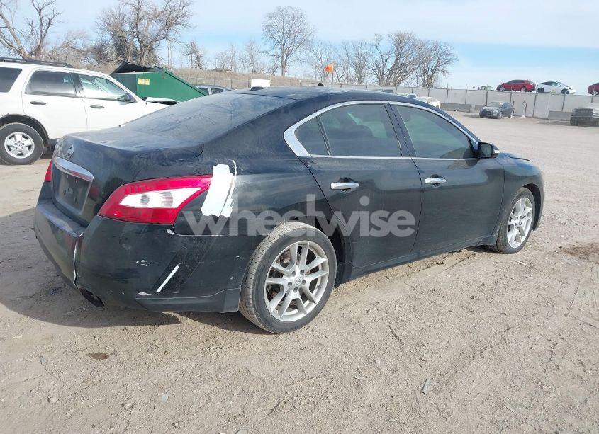 Photo 4 of 2010 Nissan Maxima 3.5 SV (VIN 1N4AA5AP6AC845953)