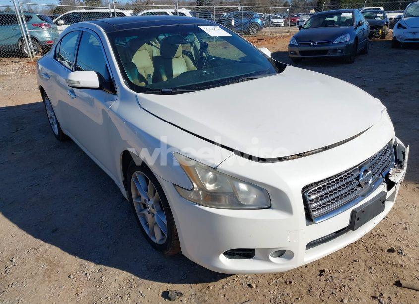 2010 Nissan Maxima 3.5 SV W/PREMIUM PKG (VIN 1N4AA5AP6AC852577) main photo
