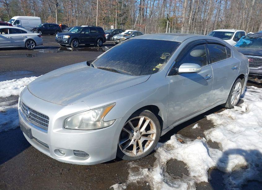 Photo 2 of 2011 Nissan Maxima 3.5 SV (VIN 1N4AA5AP6BC820794)