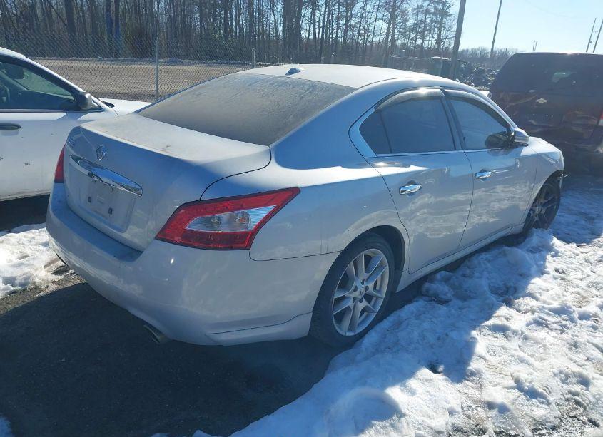 Photo 4 of 2011 Nissan Maxima 3.5 SV (VIN 1N4AA5AP6BC820794)