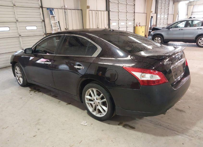 Photo 3 of 2011 Nissan Maxima 3.5 SV (VIN 1N4AA5AP6BC838003)