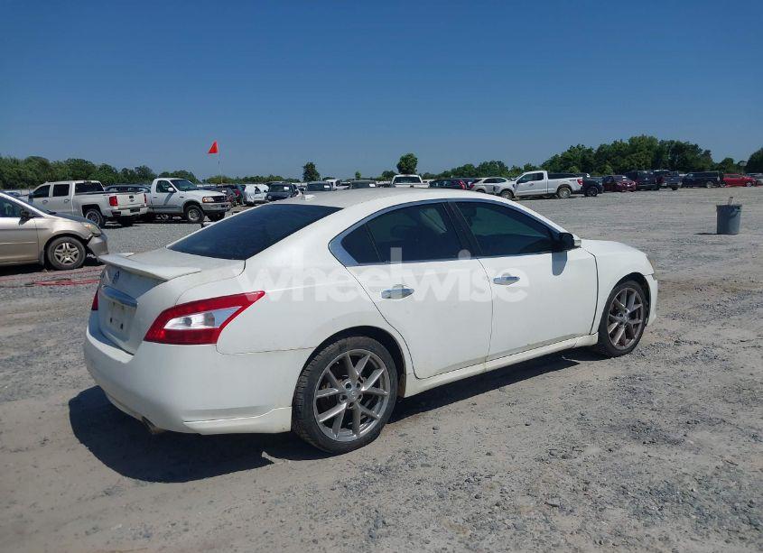 Photo 4 of 2011 Nissan Maxima 3.5 SV (VIN 1N4AA5AP6BC859076)