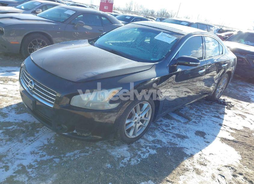 Photo 2 of 2011 Nissan Maxima 3.5 SV (VIN 1N4AA5AP6BC861717)