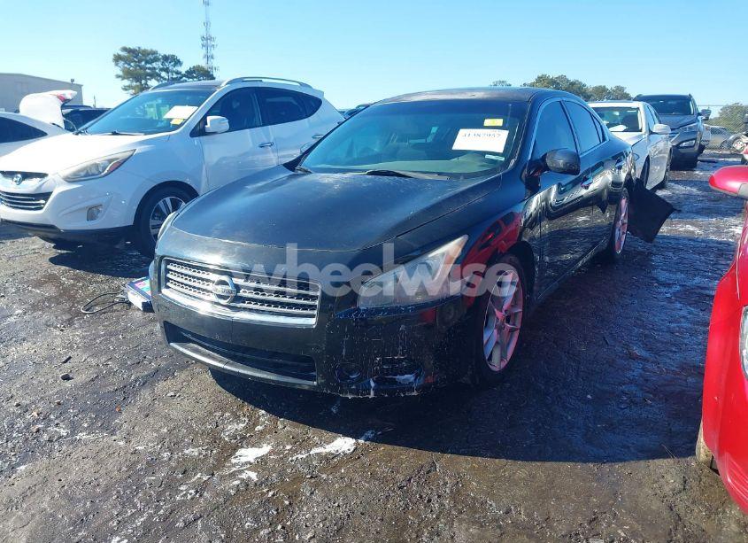 Photo 2 of 2010 Nissan Maxima 3.5 S (VIN 1N4AA5AP7AC808927)