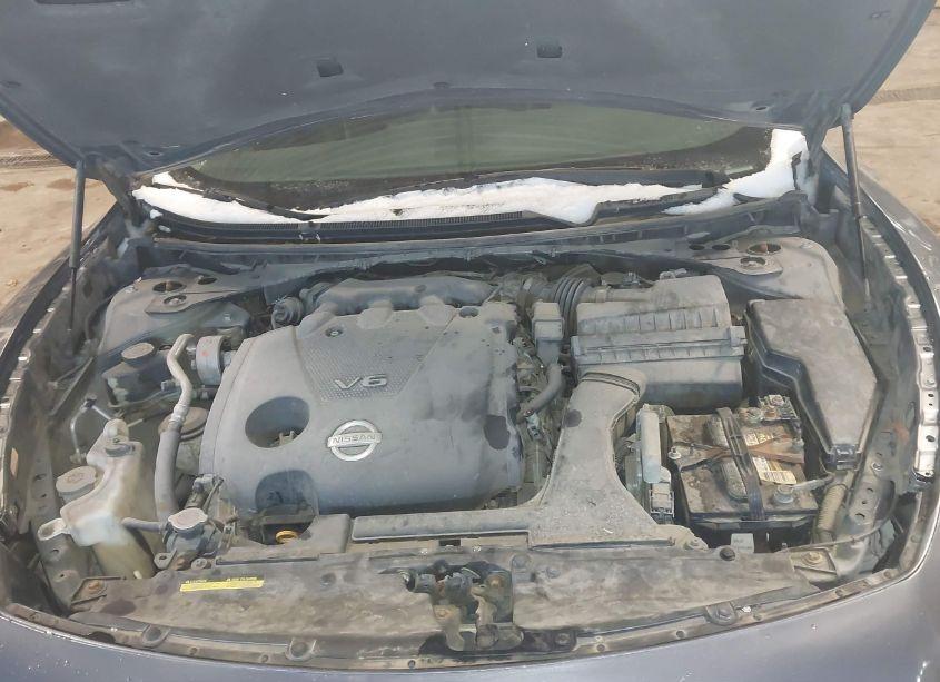 Photo 10 of 2010 Nissan Maxima 3.5 SV (VIN 1N4AA5AP7AC814162)