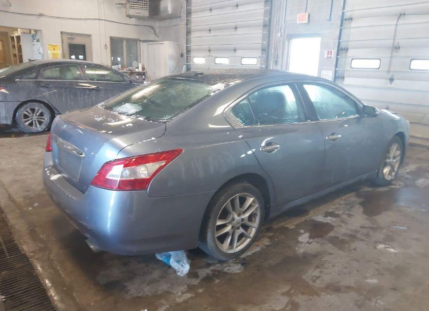 Photo 4 of 2010 Nissan Maxima 3.5 SV (VIN 1N4AA5AP7AC814162)