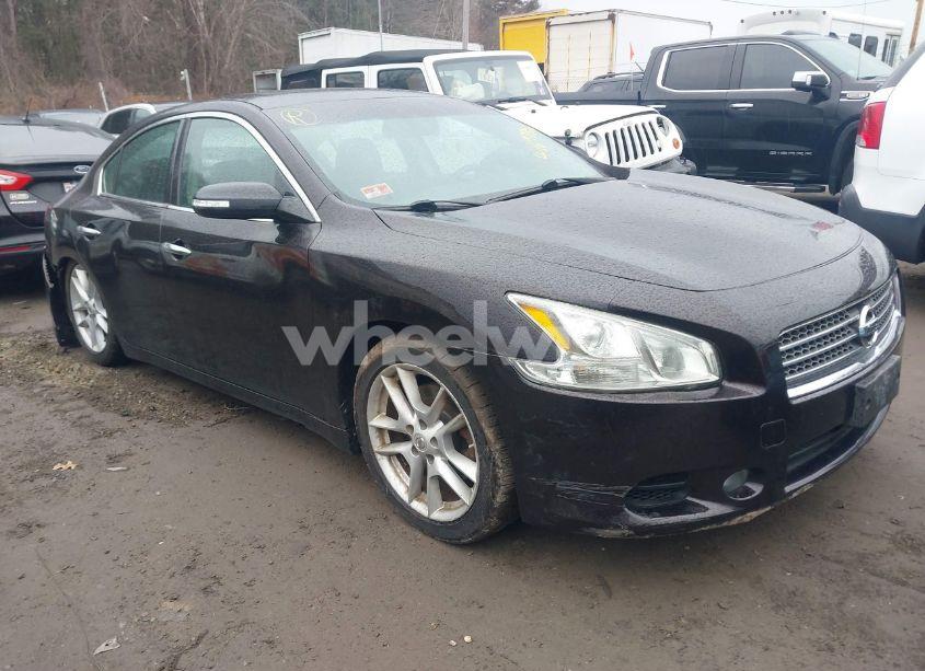 2010 Nissan Maxima 3.5 SV (VIN 1N4AA5AP7AC830927) main photo