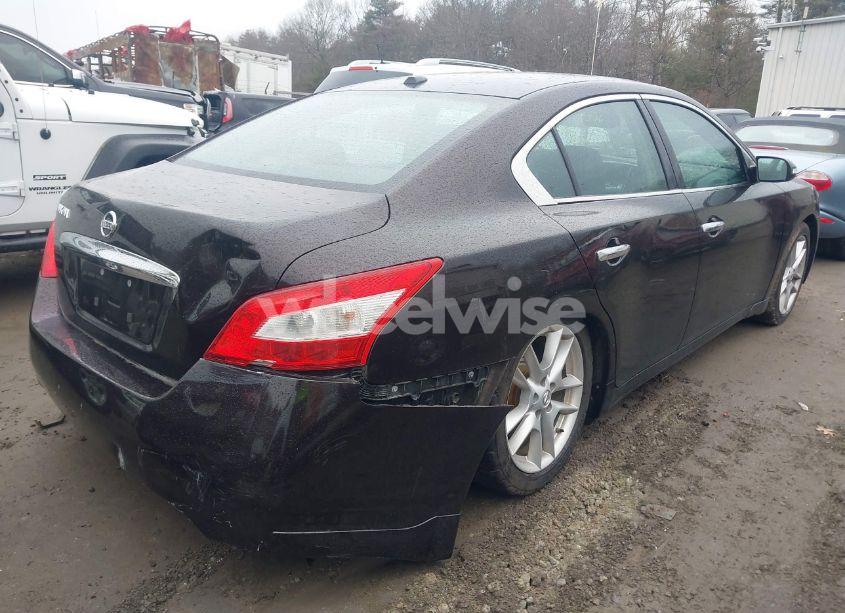 Photo 4 of 2010 Nissan Maxima 3.5 SV (VIN 1N4AA5AP7AC830927)