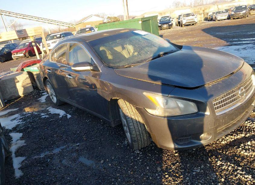 2010 Nissan Maxima 3.5 SV (VIN 1N4AA5AP7AC842737) main photo