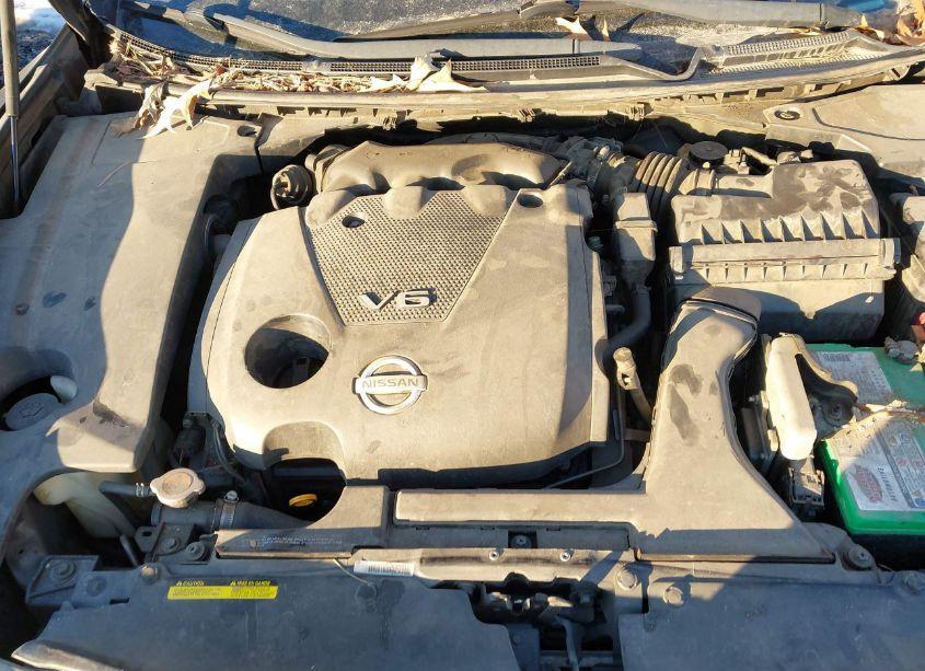 Photo 10 of 2010 Nissan Maxima 3.5 SV (VIN 1N4AA5AP7AC842737)