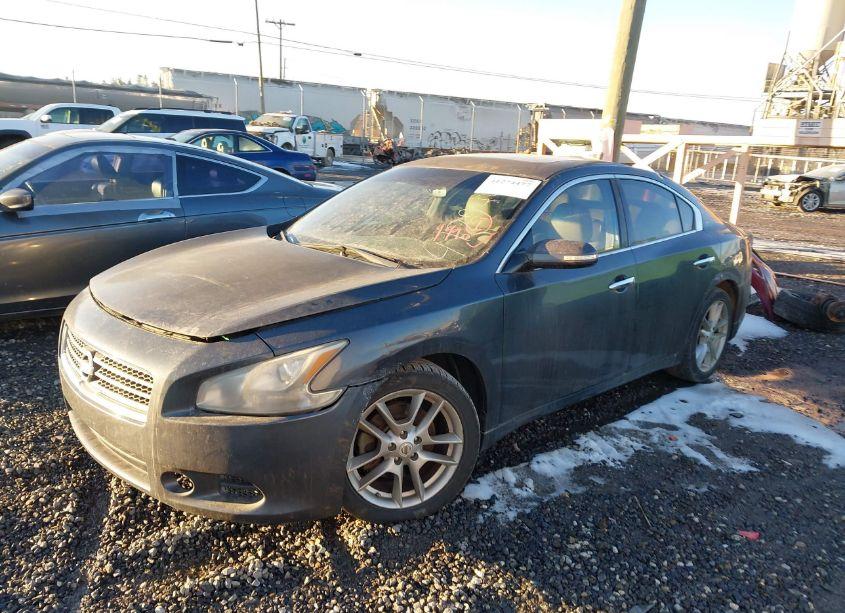 Photo 2 of 2010 Nissan Maxima 3.5 SV (VIN 1N4AA5AP7AC842737)