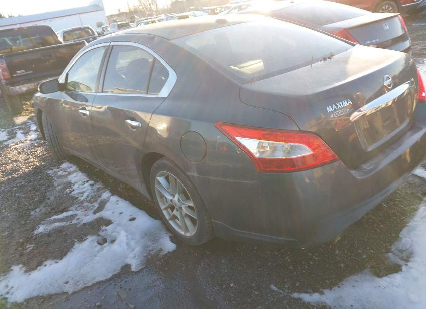 Photo 3 of 2010 Nissan Maxima 3.5 SV (VIN 1N4AA5AP7AC842737)