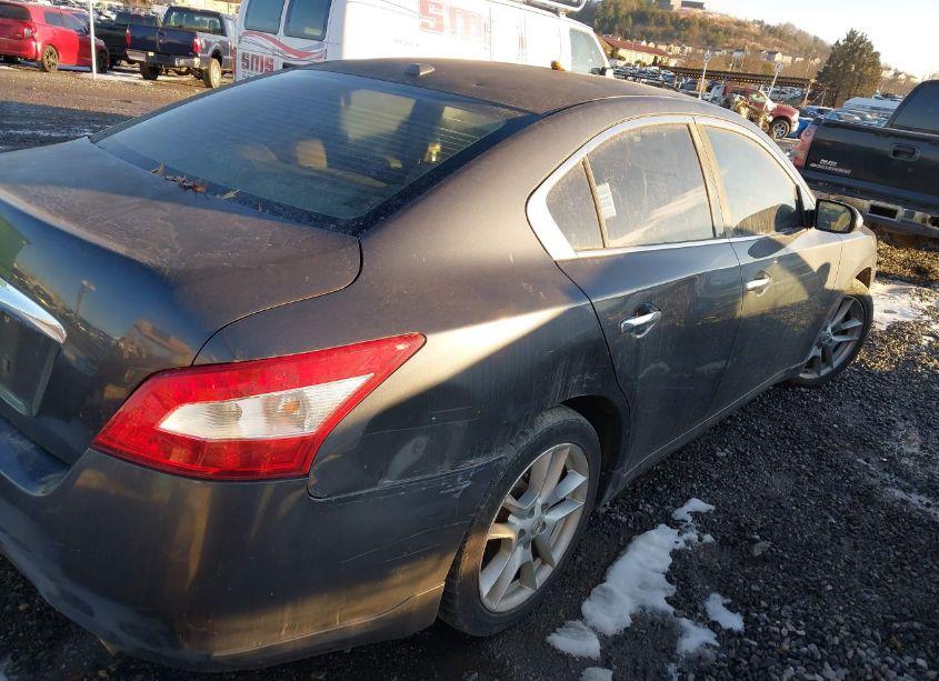 Photo 4 of 2010 Nissan Maxima 3.5 SV (VIN 1N4AA5AP7AC842737)