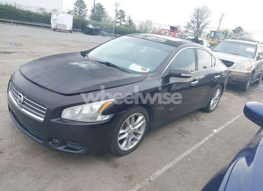 Photo 2 of 2010 Nissan Maxima 3.5 SV (VIN 1N4AA5AP7AC860123)