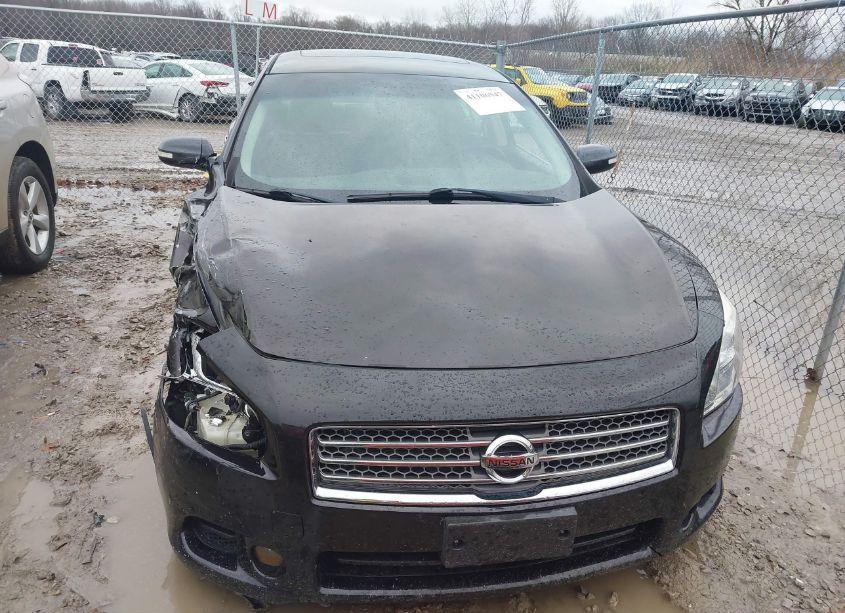 Photo 12 of 2010 Nissan Maxima 3.5 SV (VIN 1N4AA5AP7AC866052)