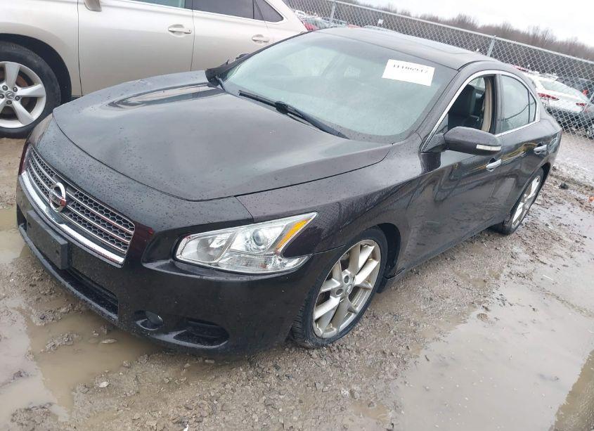 Photo 2 of 2010 Nissan Maxima 3.5 SV (VIN 1N4AA5AP7AC866052)