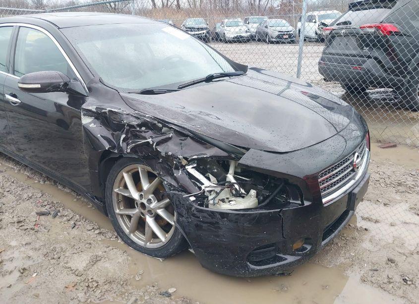 Photo 6 of 2010 Nissan Maxima 3.5 SV (VIN 1N4AA5AP7AC866052)