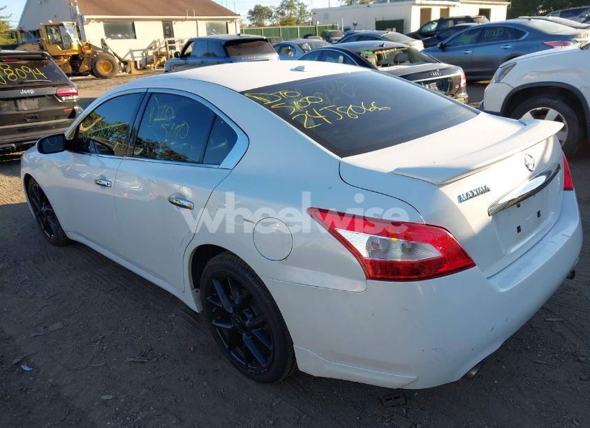 Photo 3 of 2010 Nissan Maxima 3.5 SV (VIN 1N4AA5AP7AC869453)
