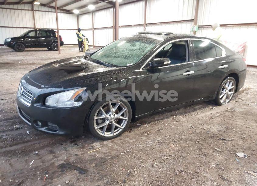 Photo 2 of 2010 Nissan Maxima 3.5 SV (VIN 1N4AA5AP7AC872109)