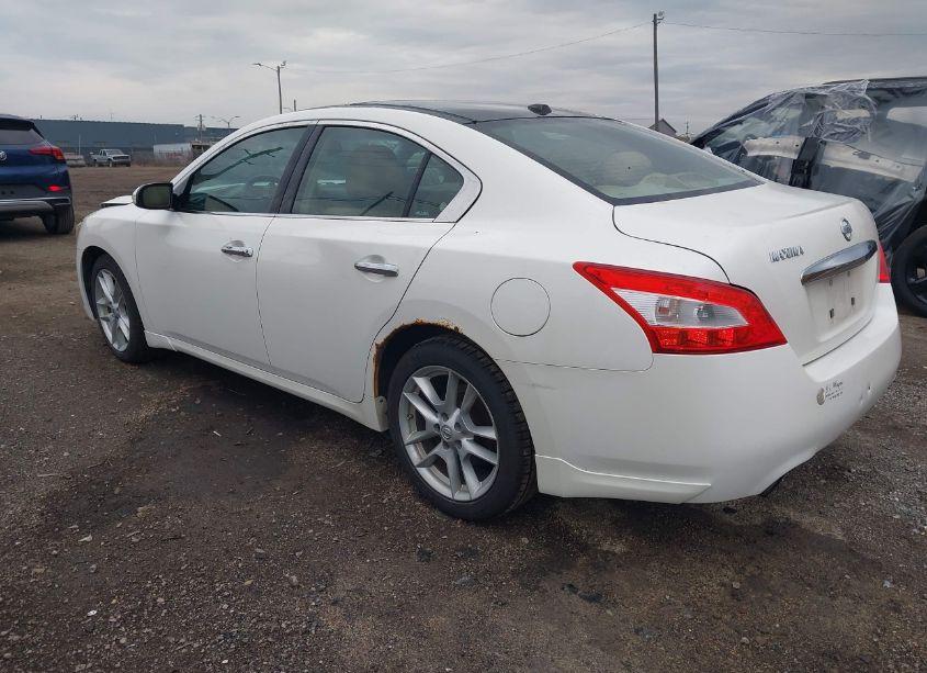 Photo 3 of 2010 Nissan Maxima 3.5 SV (VIN 1N4AA5AP7AC874779)