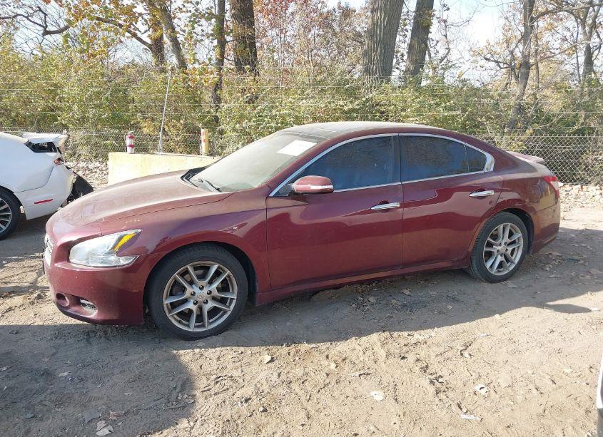 Photo 14 of 2011 Nissan Maxima 3.5 SV (VIN 1N4AA5AP7BC800358)