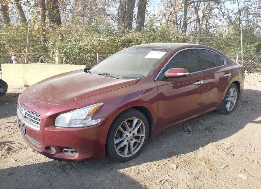 Photo 2 of 2011 Nissan Maxima 3.5 SV (VIN 1N4AA5AP7BC800358)