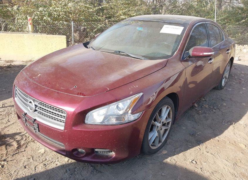 Photo 6 of 2011 Nissan Maxima 3.5 SV (VIN 1N4AA5AP7BC800358)