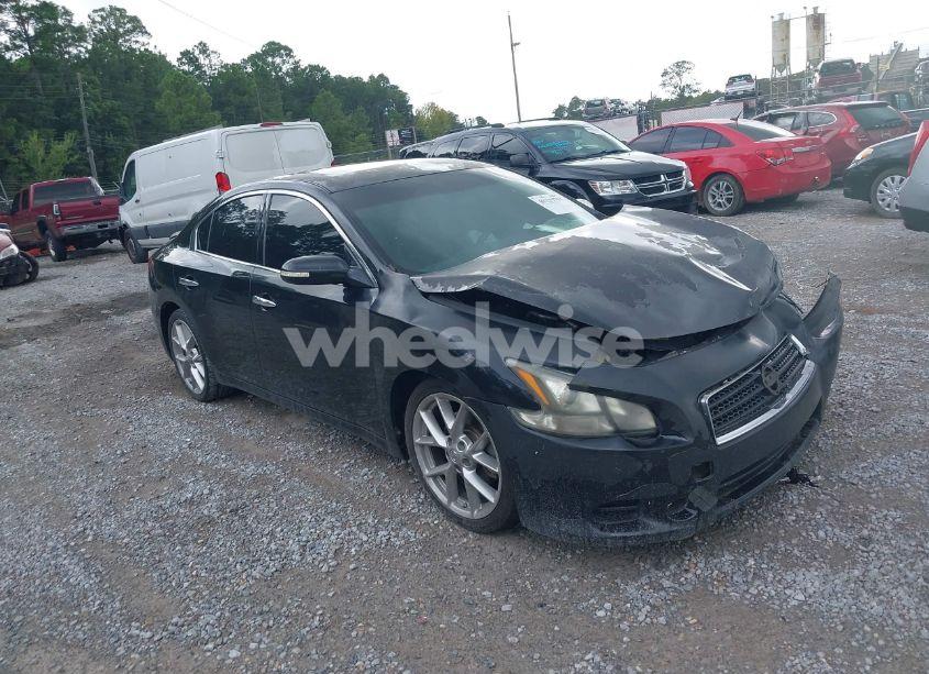 2011 Nissan Maxima 3.5 SV (VIN 1N4AA5AP7BC804913) main photo