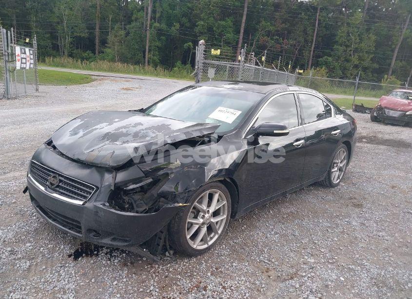 Photo 2 of 2011 Nissan Maxima 3.5 SV (VIN 1N4AA5AP7BC804913)