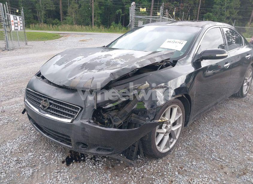 Photo 6 of 2011 Nissan Maxima 3.5 SV (VIN 1N4AA5AP7BC804913)
