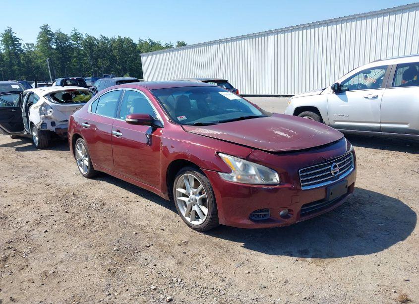 2011 Nissan Maxima 3.5 SV (VIN 1N4AA5AP7BC808556) main photo
