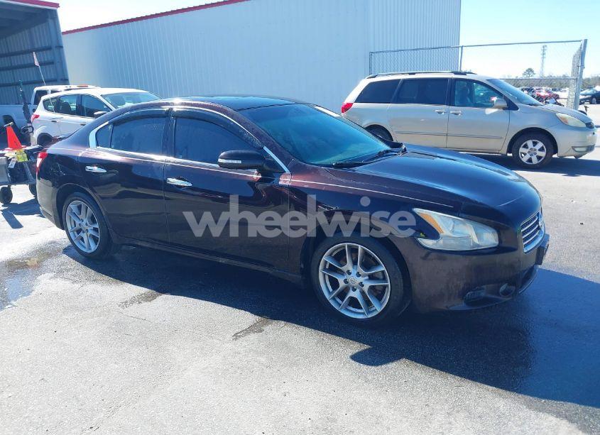 2011 Nissan Maxima 3.5 SV (VIN 1N4AA5AP7BC817810) main photo
