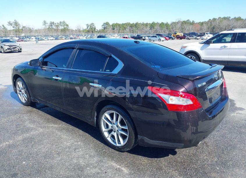 Photo 3 of 2011 Nissan Maxima 3.5 SV (VIN 1N4AA5AP7BC817810)