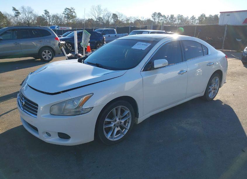 Photo 2 of 2011 Nissan Maxima 3.5 SV (VIN 1N4AA5AP7BC821629)