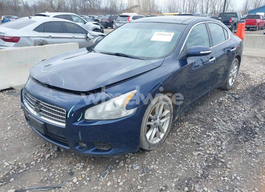Photo 2 of 2011 Nissan Maxima 3.5 SV (VIN 1N4AA5AP7BC832971)