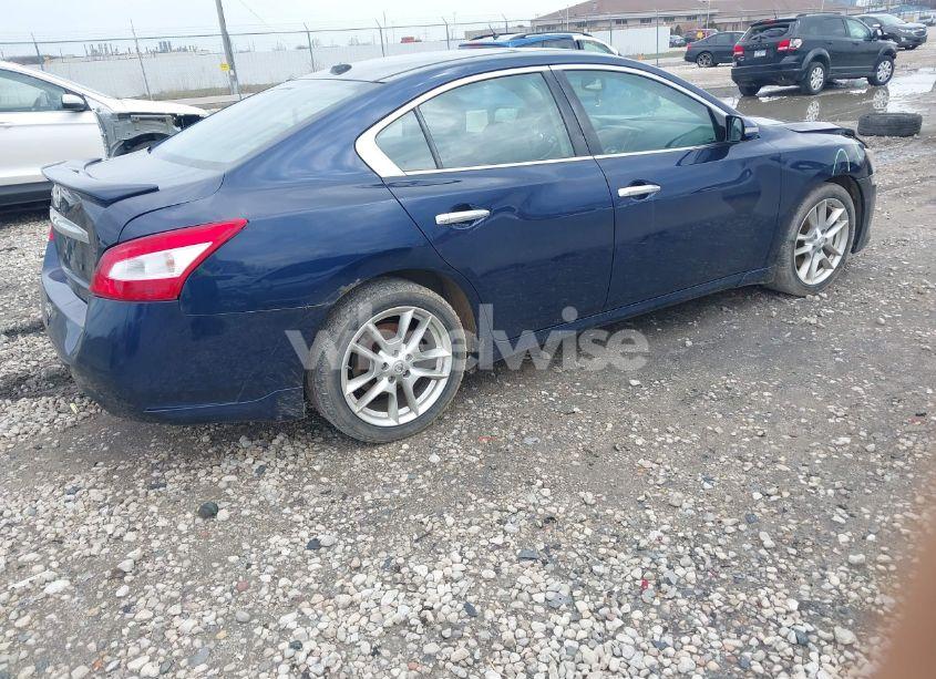 Photo 4 of 2011 Nissan Maxima 3.5 SV (VIN 1N4AA5AP7BC832971)