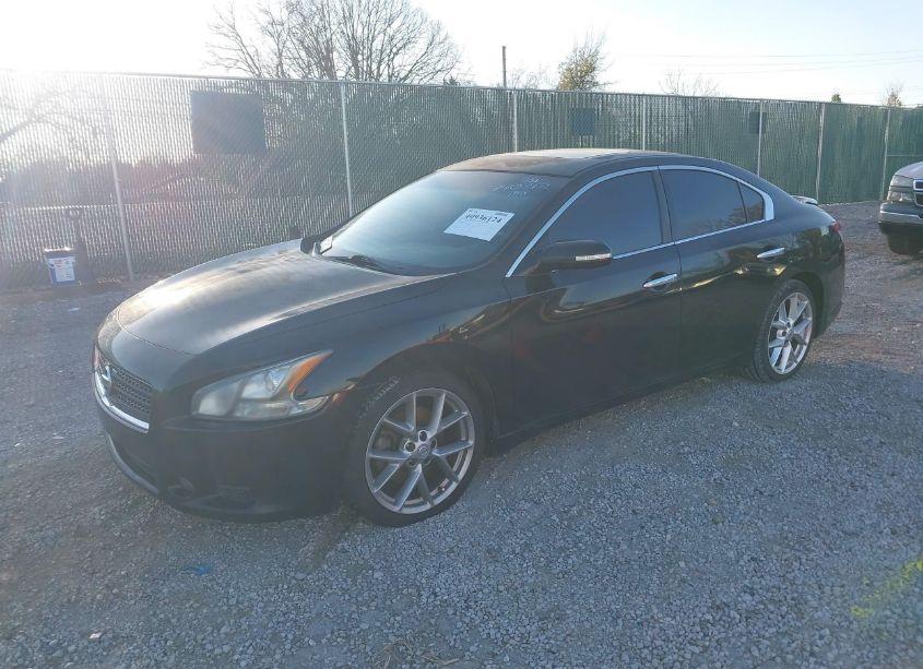 Photo 2 of 2011 Nissan Maxima 3.5 SV (VIN 1N4AA5AP7BC840312)